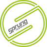 sprungsuspension