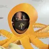 Raleighnut
