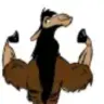 riskllama