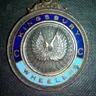 WildGoose