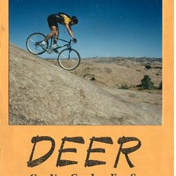 Deer Catalogue