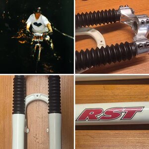 RST 461