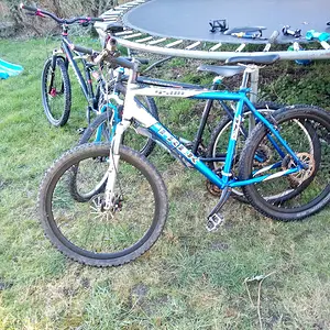 Media 'IMG_20220227_154558_668.jpg' in album 'Some current rides'