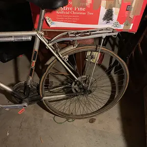 Raleigh Bike