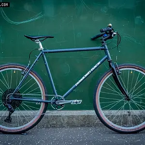 Diamondback Ascent EX (1994)