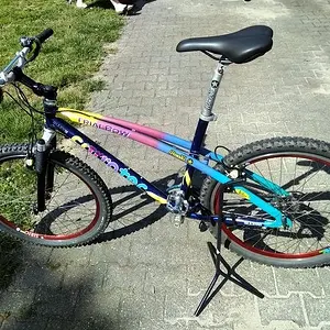 Corratec Trialbow
