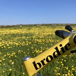 Media 'IMG_5347.JPEG' in album '1990/91 Brodie Romax'