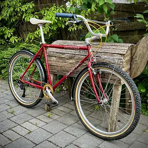 Specialized Stumpjumper 1996