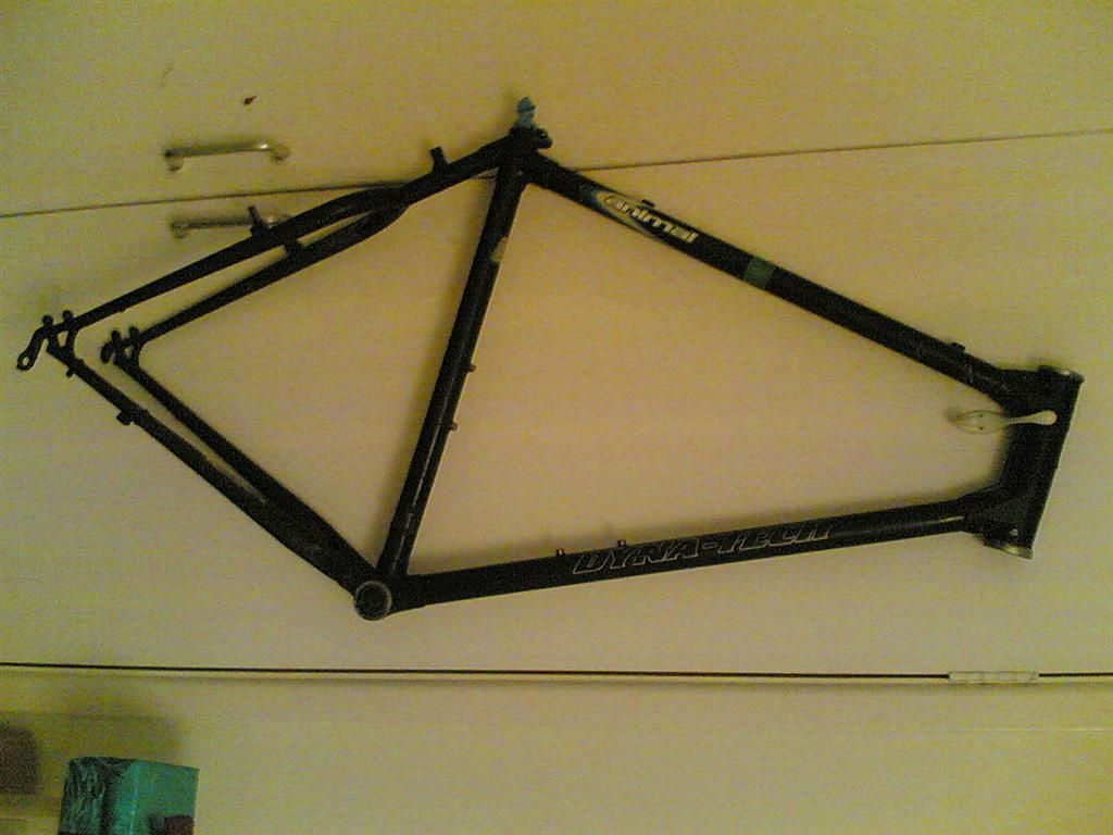 08022008_large_874.jpg