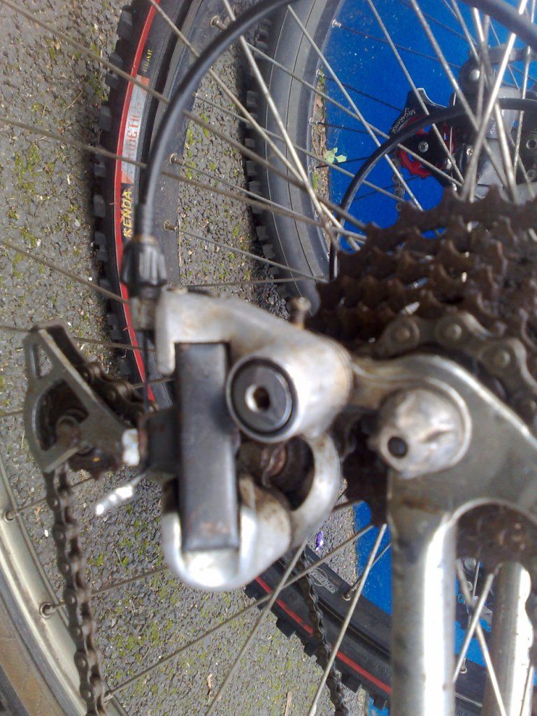 28102008247_171.jpg