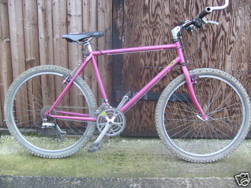 apex_bike_as_bought_145.jpg