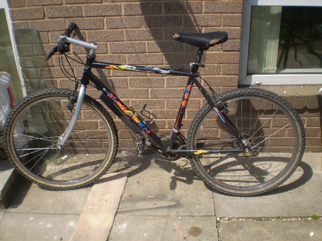bike2_666.jpg