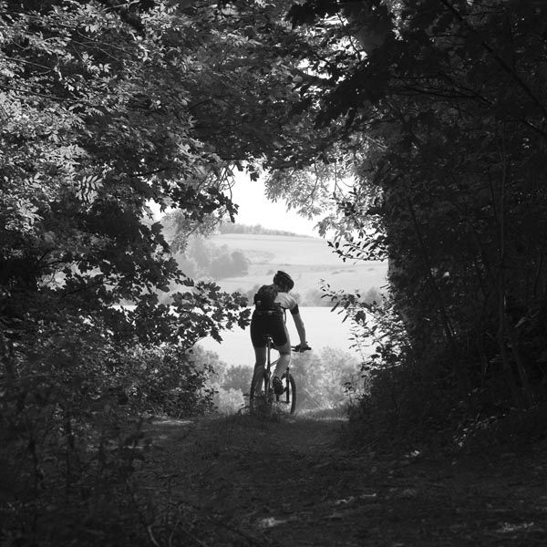 Winner - Action Photo of the Month Feb 08 - Wu Tangled