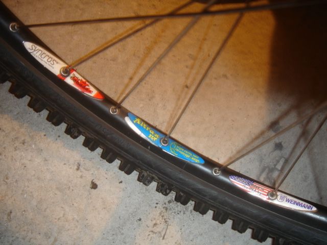 dsc00005_330.jpg