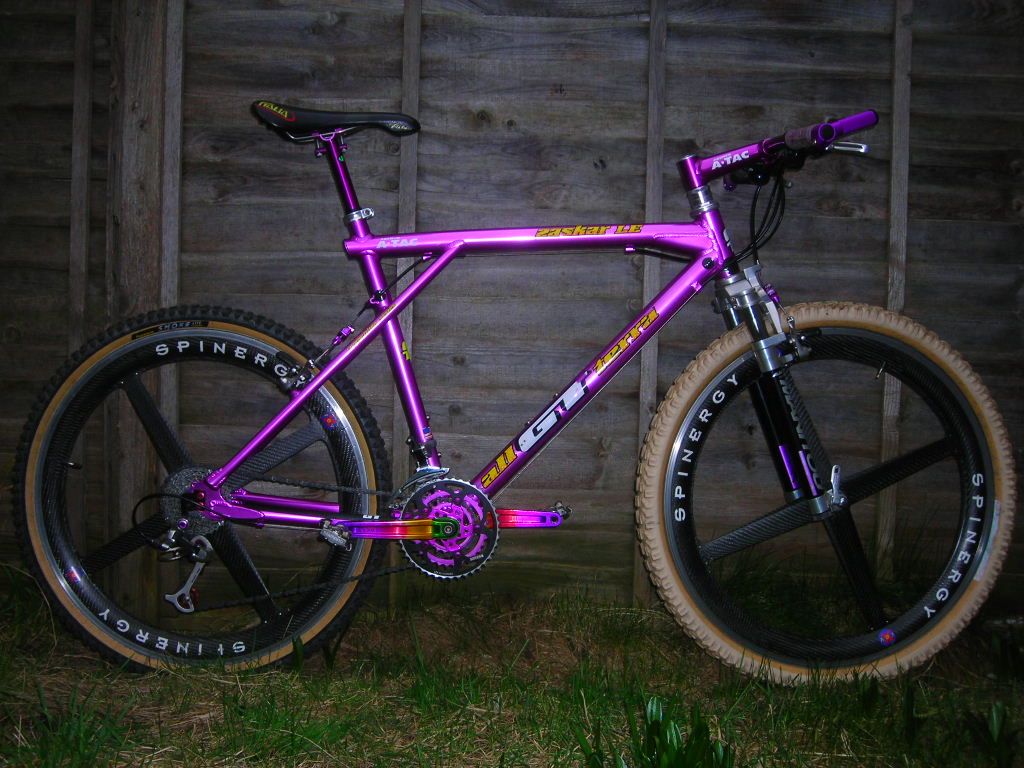 BoTM November 2008 is Tomahawk Kid's GT Zaskar LE
