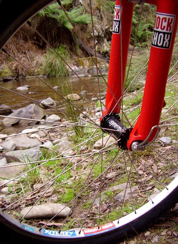 east_ovens_trail_harrietville_174.jpg