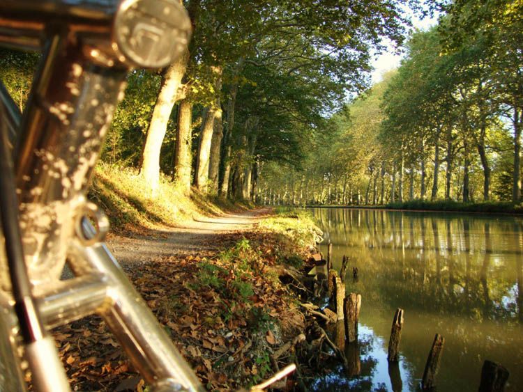 PoTM September 2011 is GaryTurner's 'Autumnal'