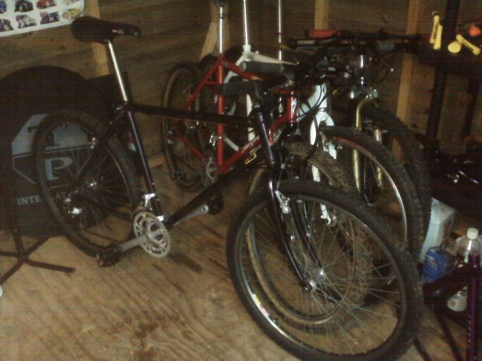 img00101_181.jpg