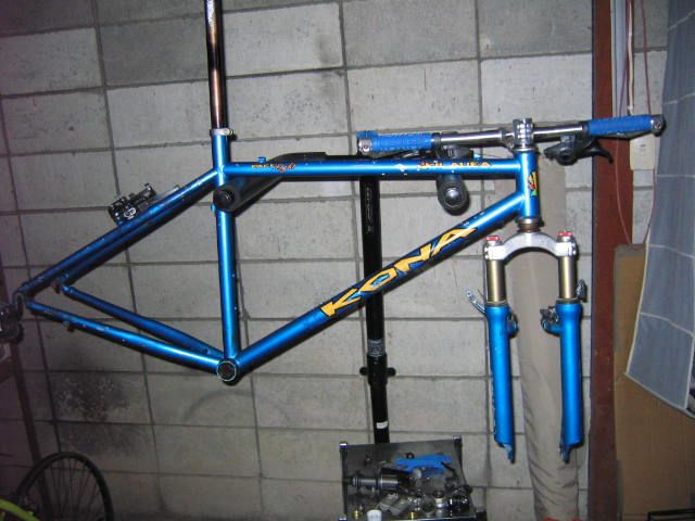 img_0019_469.jpg