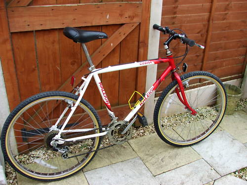 my_raleigh_122.jpg