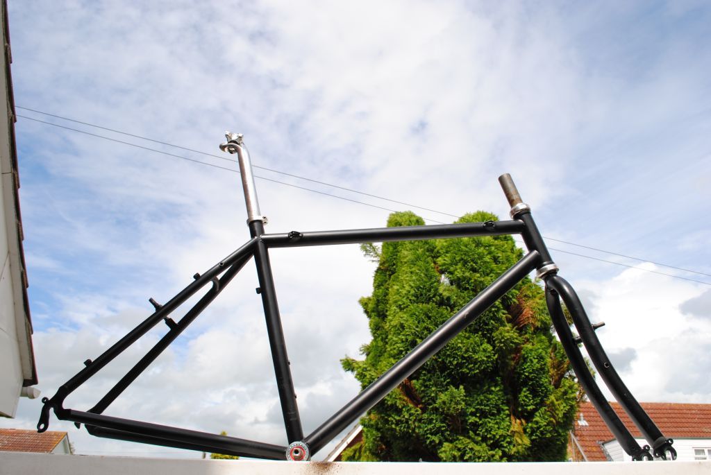 protrax_1_195.jpg