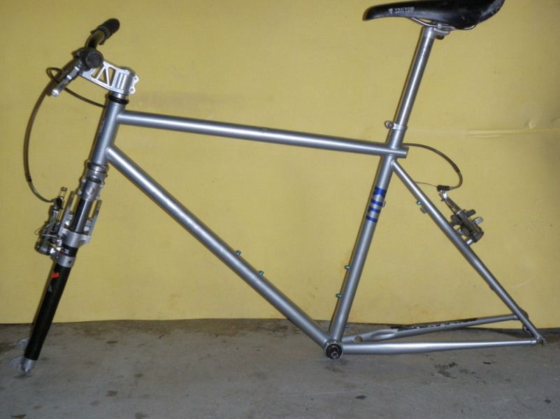 saracen_kili_501.jpg