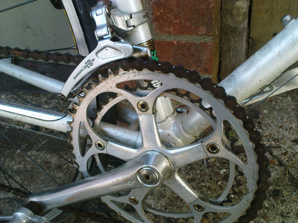 shimano_arabesque_483.jpg