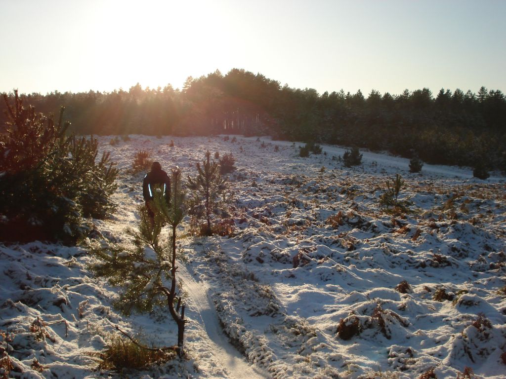 snowy_singletrack_212.jpg