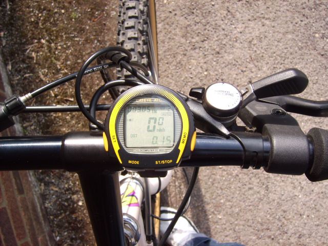 stumpy_007_453.jpg