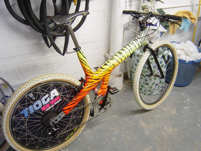 trimbletigerstripe_201.jpg