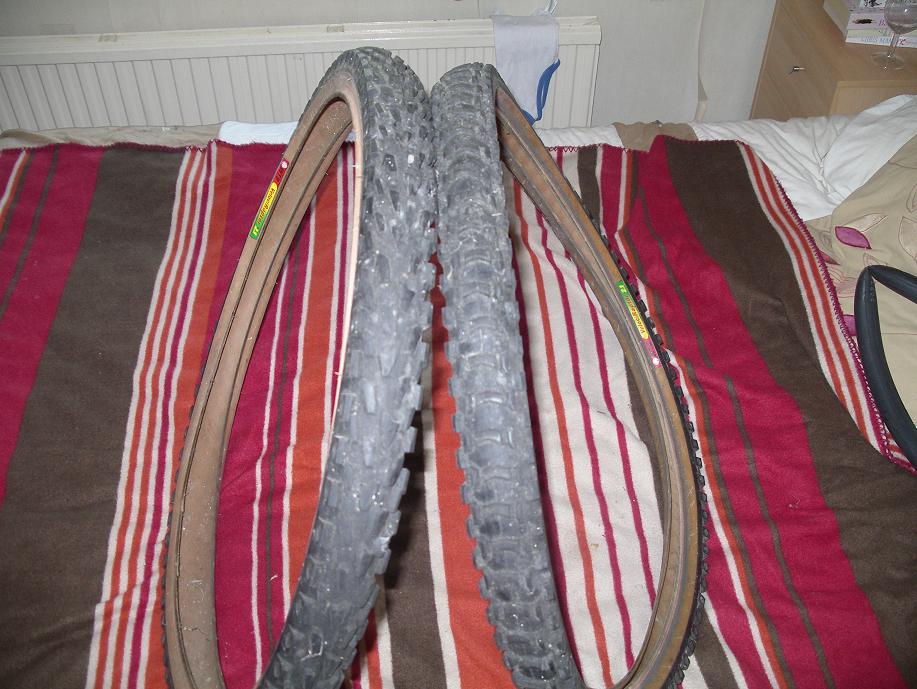 wtb_velociiraptor_103.jpg