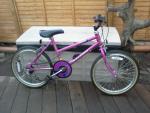 Raleigh ISIS Kids Mountain Bike 1997