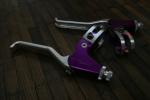 Avid SD