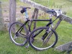dead cannondale redux