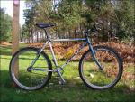 1990 DiamondBack Ascent