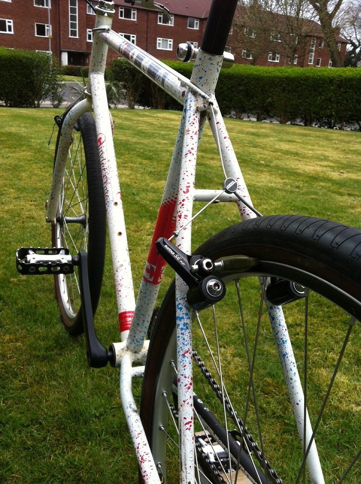 Rear Angle