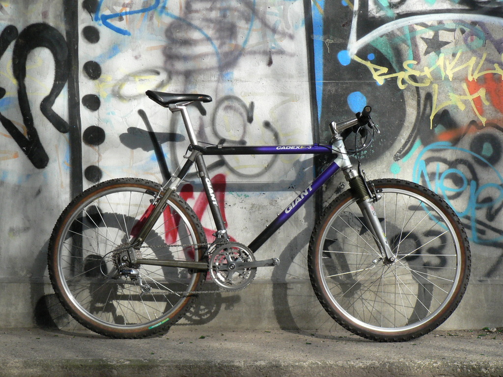 giant cadex cfm