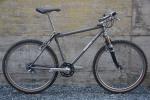 moots rigormootis 1