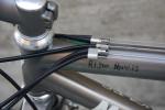 moots rigormootis 10
