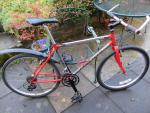 Raleigh Dynatech Ogre XT