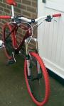for sale must go 97 gt zaskar,offers around £250