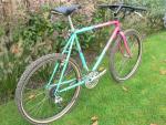 1989 Specialized Stumpjumper
