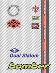 1999 z1 dual slalom