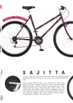 1996 pg11 Sajitta