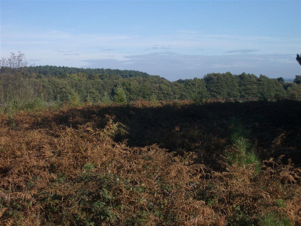 IMGP4712
