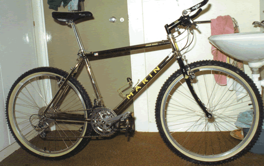 Marin Team Issue