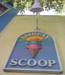 The Scoop