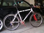 1998 Curtlo