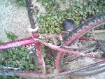 Rear Brake