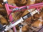 Risse Genesis Damper rear suspension